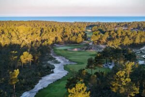 Aerial view of a coastal golf course winding through a pine forest toward the sea.