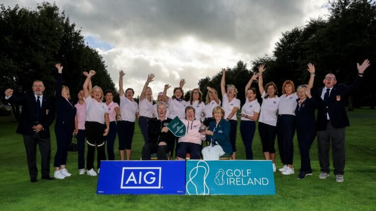 The Naas team that won the AIG Women's Intermediate Foursomes All-Ireland title in Ennis